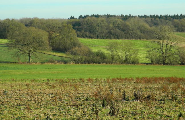 Regional House With Exposed Timber Frame Elements Full of Authenticity and Charm in a Green Area - Photo 34