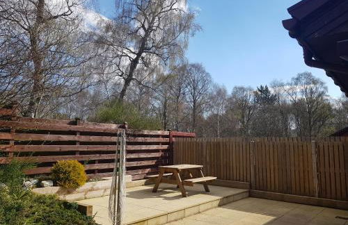 Orange Squirrel Lodge - Foto 21