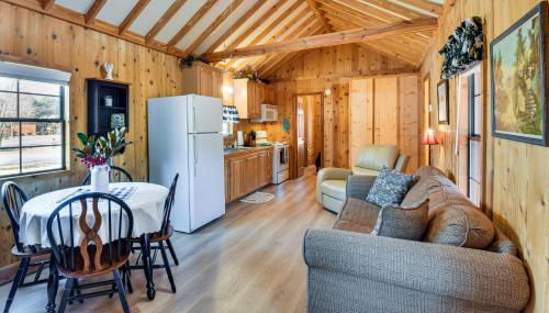 Cozy Dillard Cabin with Mountain Views and Pool Access - Foto 4