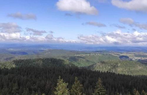 Studio avec belle vue proche du lac Genin Echallon - Photo 20