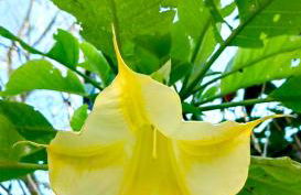 Allin home - Foto 38