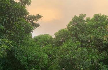 Chácara Ecológica e Sustentável - Photo 12