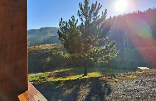 Sítio Passo do Carro - Foto 41