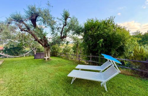 Agriturismo Villa Carducci - Photo 63