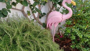 Flamingo's House in Sant'Antioco, Sardinia - Foto 3