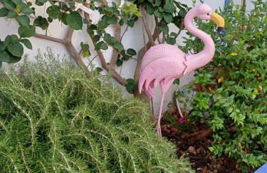 Flamingo's House in Sant'Antioco, Sardinia - Foto 3