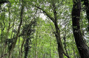 Natures Loft - Photo 11