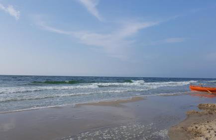 Słowińskie Widoki domki Flora, Fauna, noclegi Smołdziński Las - Foto 48