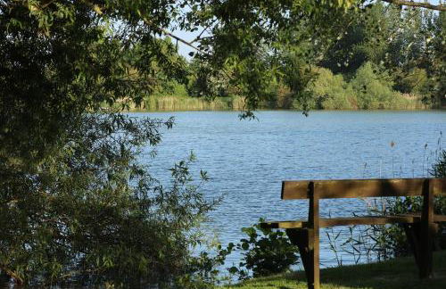 Dragonfly Stays at Lower Lakes - Foto 27