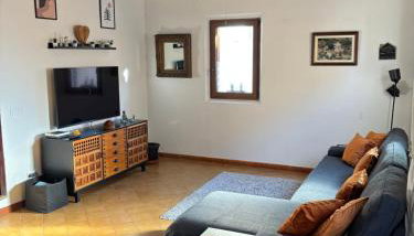 Sweet William - Foto 5