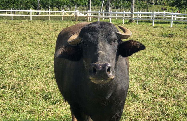 Eco Park Punta Cana Trip - Photo 8