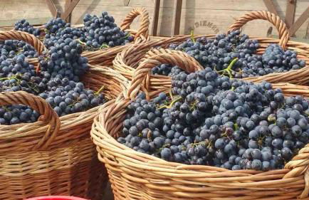 Idyllische Gemütlichkeit I die schwäbische Toskana I 15min von Stuttgart - Foto 18