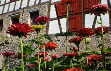 Gut Bunt Ferienhaus - Photo 12