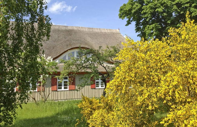 Old Shipman's House Comfortable Holiday Residence - Photo 1