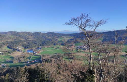 "BayernWald 201" Ferienwohnung mit Pool und Sauna - Foto 35