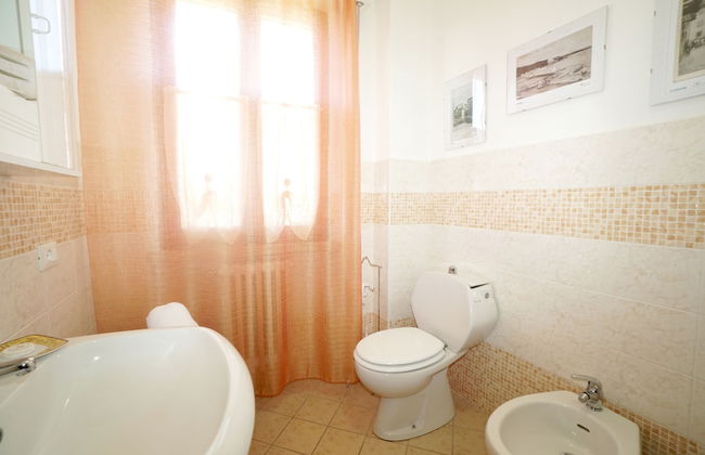 La Mimosa - Photo 33