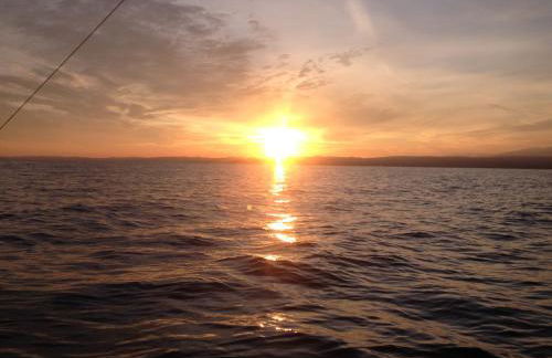 Residenza Bouganville - Foto 38