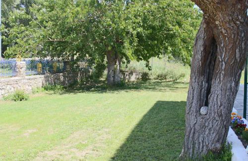 Nana's studios - Photo 41