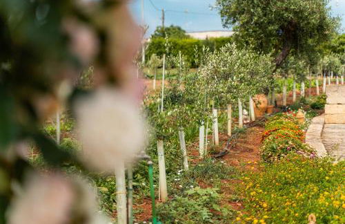 Dimora Soleda - Foto 62