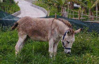 Um quarto da Casa Do Monte - Photo 66
