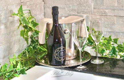 BlueBay Residence Resort - Foto 45