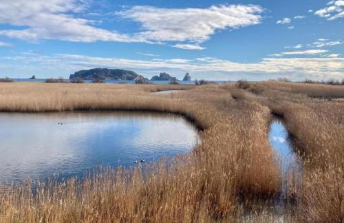 Apartment in Estartit near sea beach - Foto 13