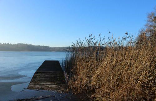 Pauline 3 - Photo 46