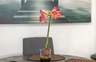 Pool Hot Tub King Bed 1st Floor Condo - Foto 29