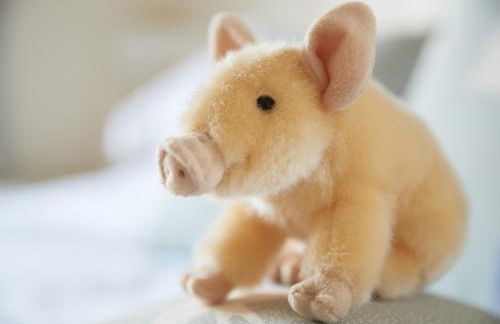 Downclose Piggeries - Photo 10