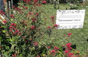 Le clapotis de l'Ô, calme, balcon sur la mer, à 2 h de Paris - Foto 19