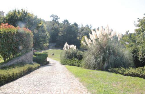 PORTO - Penafiel - QUINTA DE SANTIAGO COUNTRY HOUSE - Photo 19