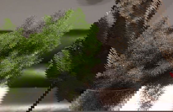 Moin Lakeside Pool Villa ChiangMai - Foto 19