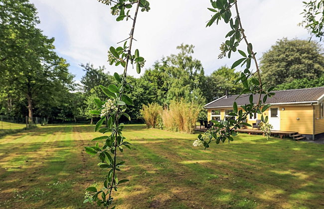 6 Person Holiday Home in Borup - Foto 24