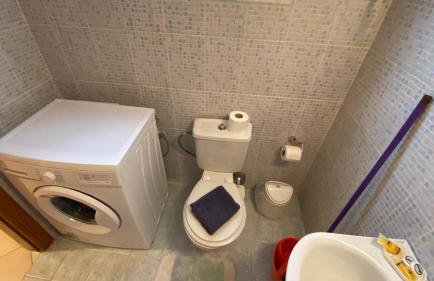 Patras Palm Tree - Foto 32