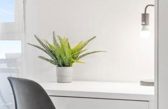 Grand Appart 4 Chambres avec Cinéma dans Rouen Centre - Photo 9