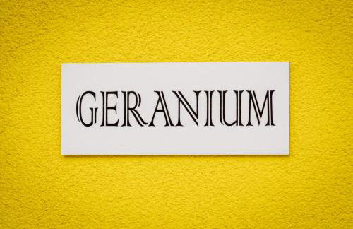 LES GRANGES DE JADIS ALSACE Bis - Foto 6