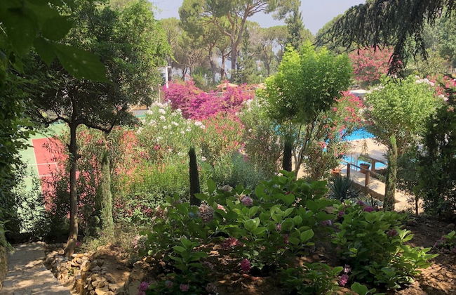 Splendid Valley & Sea View - Foto 32