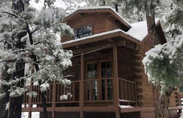 Forest Cabin 4 Cowboys Dream - Foto 15