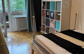 City apartment next to Oktoberfest - Foto 1