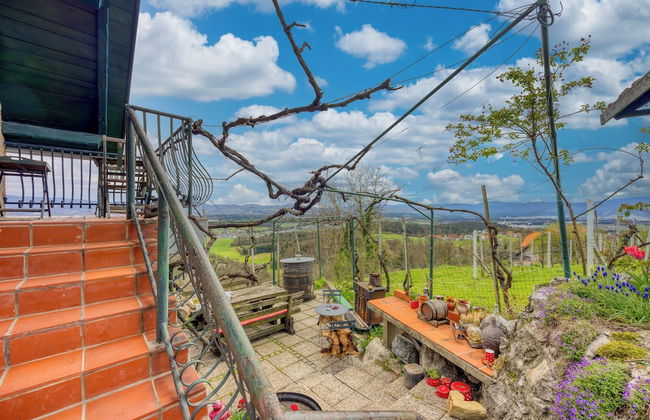 Vineyard Cottage Vercek - Foto 19