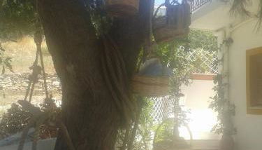 Benigna Studios - Foto 3