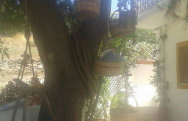 Benigna Studios - Foto 3