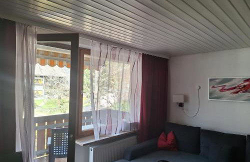 Gemütliche Ferienwohnung in Sankt Blasien - Foto 4