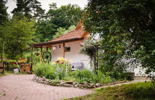 Agroturystyka Stara Huta - Foto 74