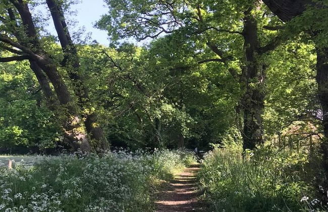 Dog Friendly Shepherd's Hut, Perfect for Couples - Photo 42