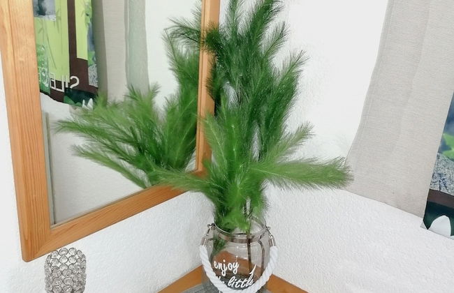 Peaceful Apartment in Salzburg Near Ski Area - Foto 25