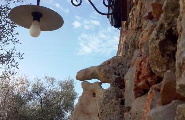 Tenuta Serre - Foto 37