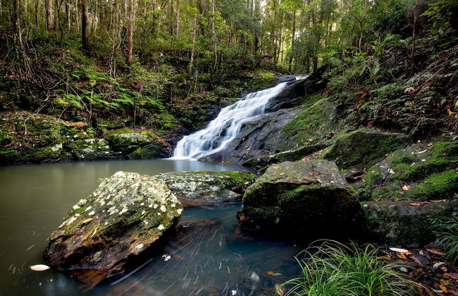 Ingenia Holidays Noosa North - Foto 68