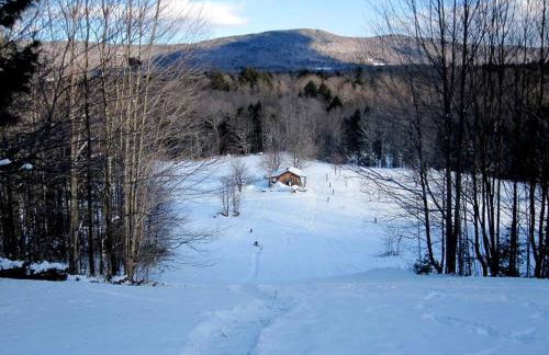 The Hunter Cabin at Sky Hollow - Foto 43