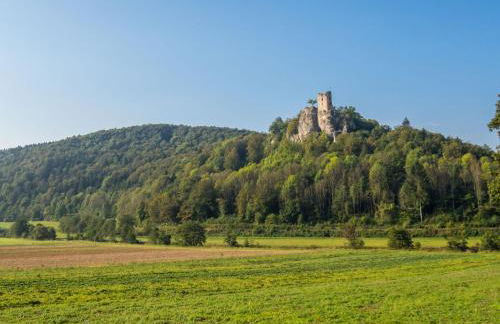 3-Zi App I Fränkische Schweiz, Miselgau-Obernsees - Foto 9